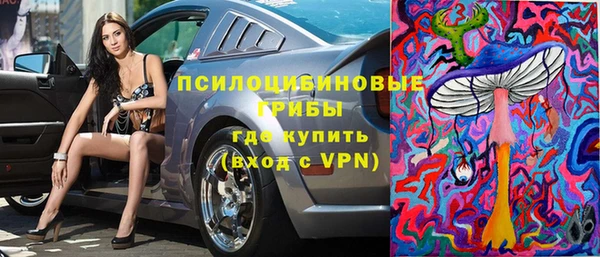 мдпв Каменка