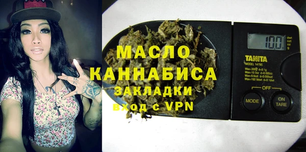 мдпв Каменка