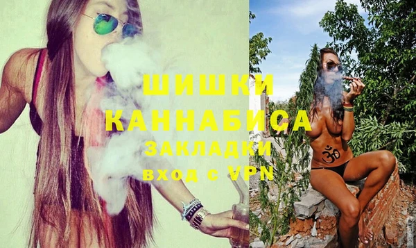 мдпв Каменка