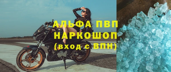 мдпв Каменка