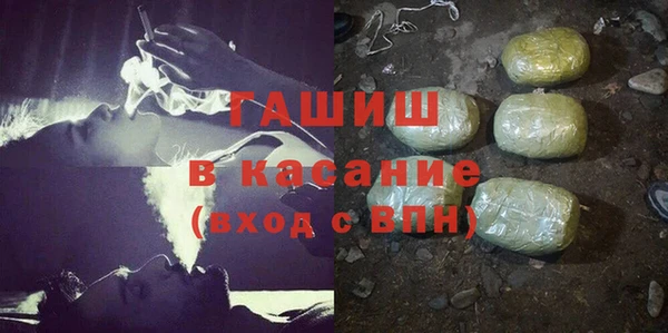 мдпв Каменка