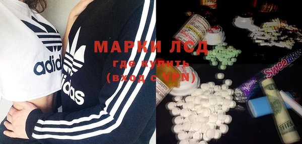 ГАЛЛЮЦИНОГЕННЫЕ ГРИБЫ Каменногорск