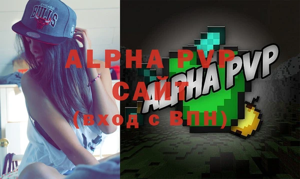 мдпв Каменка