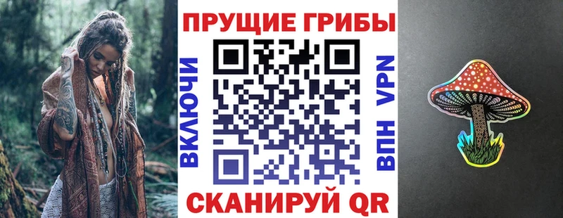 Купить  Новохопёрск  Псилоцибиновые грибы GOLDEN TEACHER 